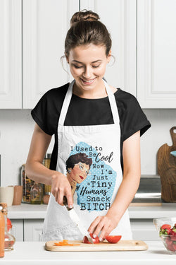 Used To Be Cool - Funny Apron - Jackson and Wyatt, Inc